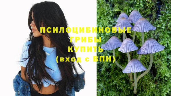 дживик Лихославль