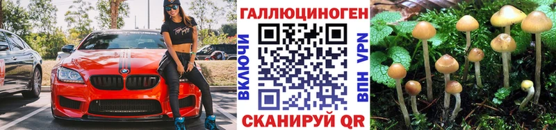 мориарти Telegram  Красноярск  Галлюциногенные грибы GOLDEN TEACHER 