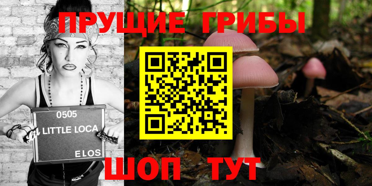 Галлюциногенные грибы GOLDEN TEACHER Красноярск