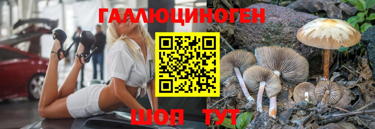 Галлюциногенные грибы прущие грибы  Галлюциногенные грибы ЛСД  Красноярск 