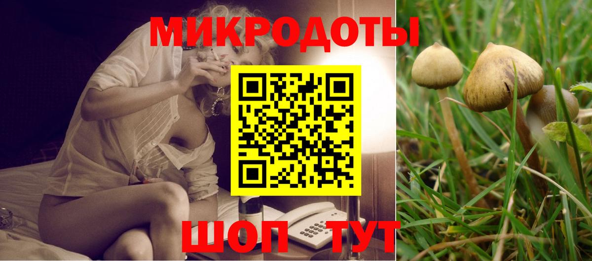 Псилоцибиновые грибы Cubensis Красноярск